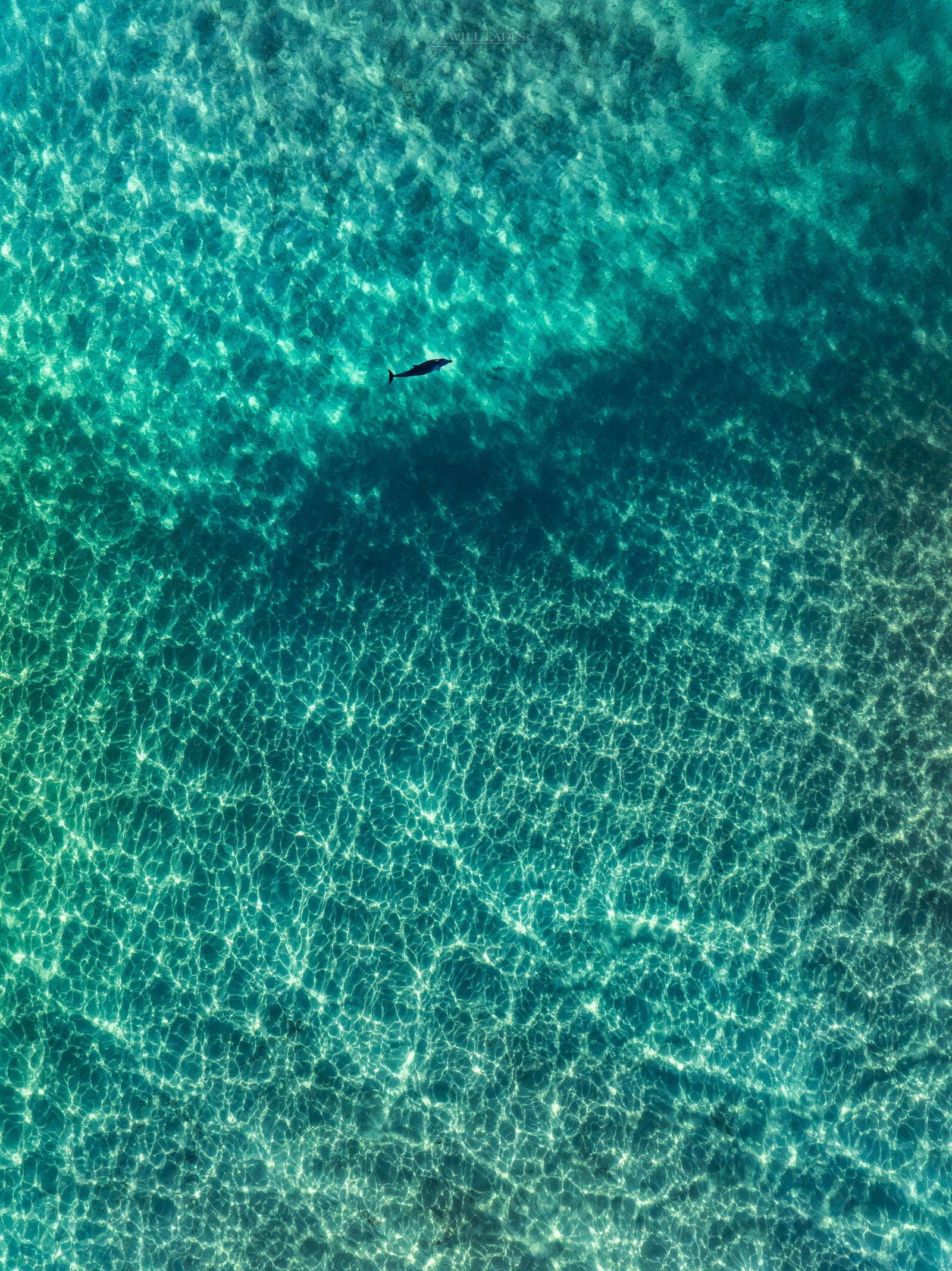 Emerald Seas