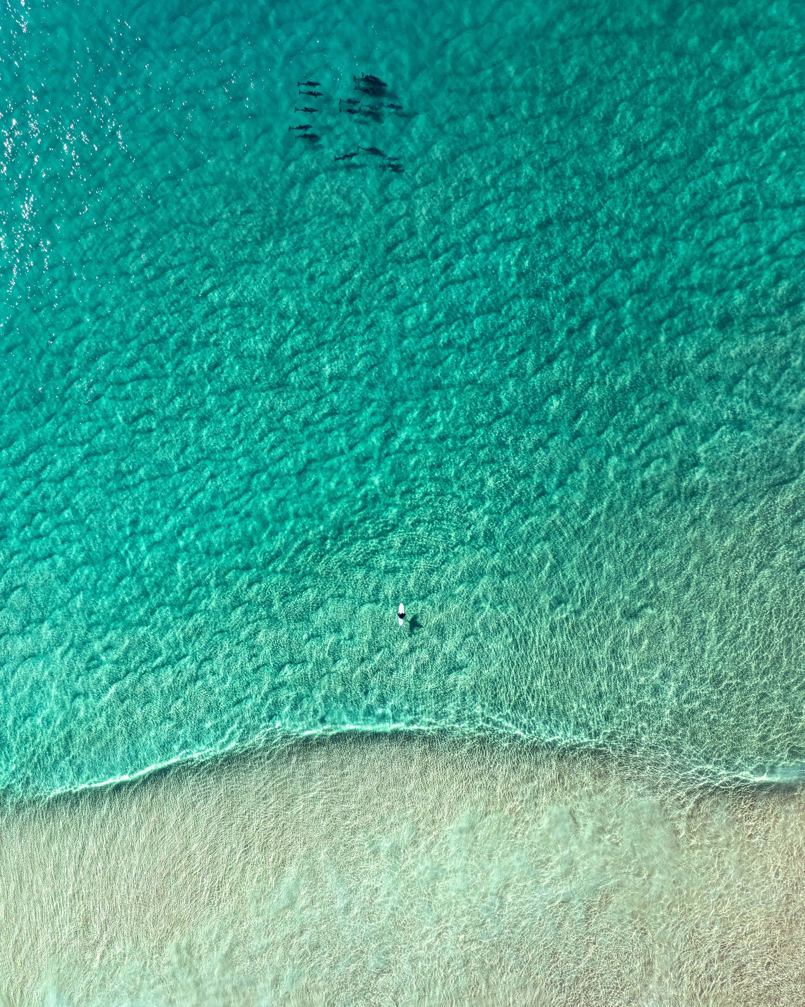 Shelly's Serenity